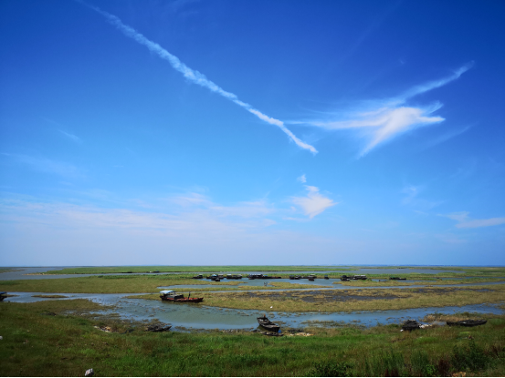 鄱阳湖美景