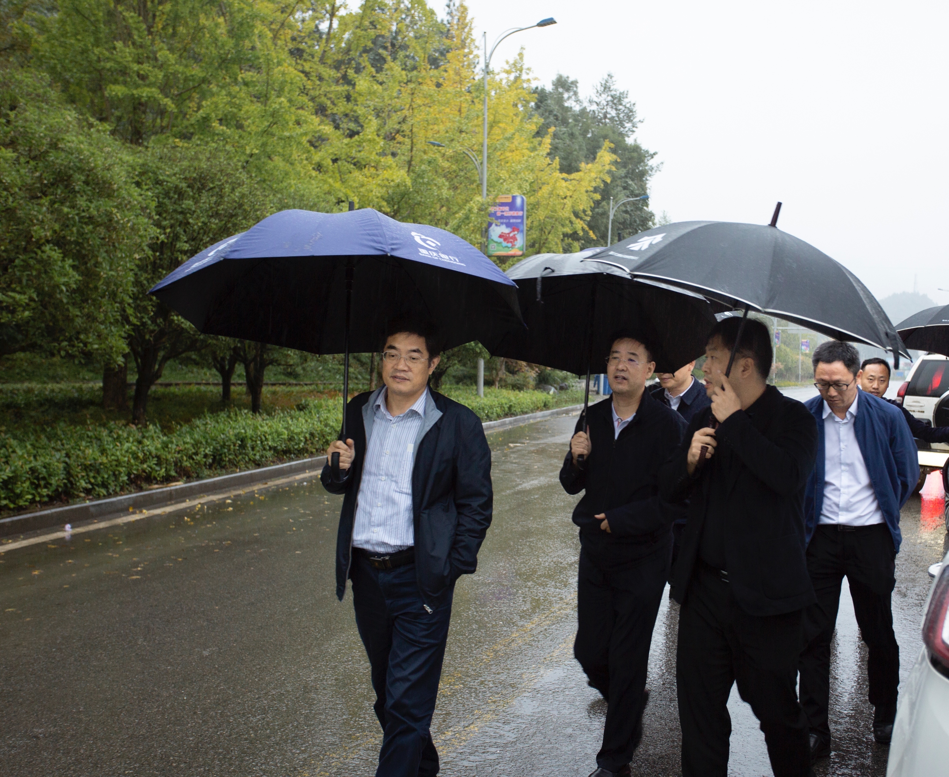 中林集团副总经理黄其正李留彬一行赴重庆三峡之巅公司调研并考察储备