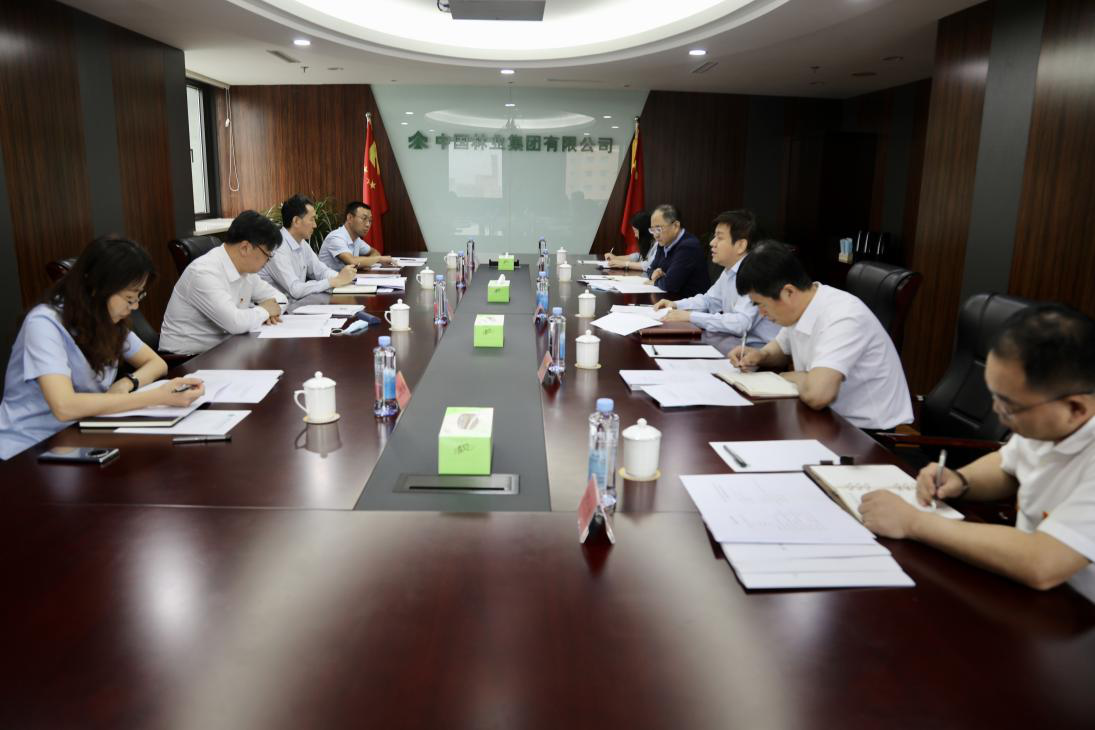 中央企业党史学习教育第七指导组进驻中林集团开展指导工作