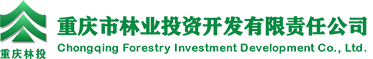 重庆