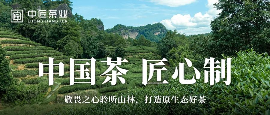 中匠茶业·学茶小课堂|今日大寒，中匠茶业与您有约
